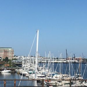 Meet your Posher, Joanne